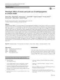Phenotypic Effects of Chronic and Acute Use of Methiopropamine in a Mouse Model