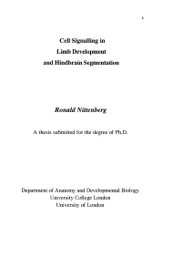 Cell Signalling in Limb Development and Hindbrain Segmentation