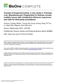 Caveats of Fungal Barcoding: a Case Study in Trametes S.Lat