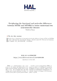 Deciphering the Functional and Molecular Differences Between MTM1 and MTMR2 to Better Understand Two Neuromuscular Diseases Matthieu Raess