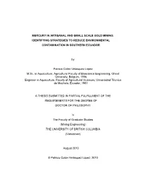 Mercury in Artisanal and Small Scale Gold Mining: Identifying Strategies to Reduce Environmental Contamination in Southern Ecuador
