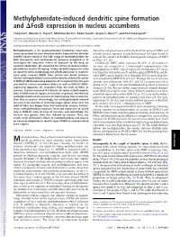 Methylphenidate-Induced Dendritic Spine Formation and ⌬Fosb Expression in Nucleus Accumbens
