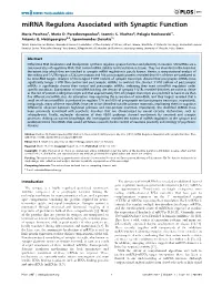 Mirna Regulons Associated with Synaptic Function