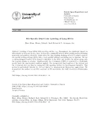 Site-Specific Dual-Color Labeling of Long Rnas