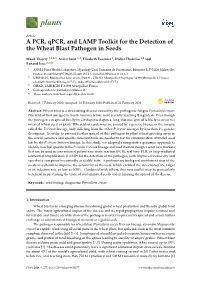 A PCR, Qpcr, and LAMP Toolkit for the Detection of the Wheat Blast Pathogen in Seeds