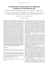 S100A8 Promotes Chemoresistance Via Augmenting Autophagy in B‑Cell Lymphoma Cells