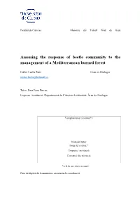 Assessing the Response of Beetle Community to the Management of a Mediterranean Burned Forest