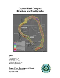 Capitan Reef Complex Structure and Stratigraphy