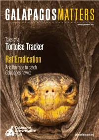 Rat Eradication Tortoise Tracker