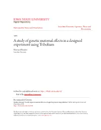 A Study of Genetic Maternal Effects in a Designed Experiment Using Tribolium Khorsand Bondari Iowa State University