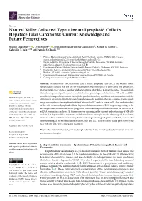 Natural Killer Cells and Type 1 Innate Lymphoid Cells in Hepatocellular Carcinoma: Current Knowledge and Future Perspectives