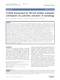 S100A8 Transported by SEC23A Inhibits Metastatic Colonization Via