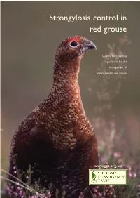 Strongylosis Control in Red Grouse