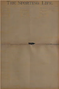 This Entire Document