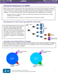 Immune Response to DENV