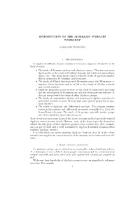 Introduction to the Algebraic Surfaces Workshop