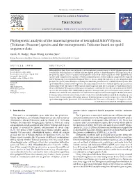 Phylogenetic Analysis of the Maternal Genome of Tetraploid Ststyy Elymus (Triticeae: Poaceae) Species and the Monogenomic Triticeae Based on Rps16 Sequence Data