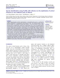Species Identification Using Zooms, with Reference to the Exploitation Of
