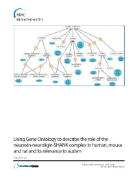 Using Gene Ontology to Describe the Role of the Neurexin-Neuroligin-SHANK Complex in Human, Mouse and Rat and Its Relevance to Autism Patel Et Al