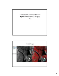 Characteristics and Statistics of Digital Remote Sensing Imagery (1)