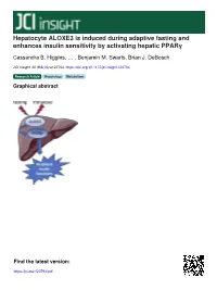Hepatocyte ALOXE3 Is Induced During Adaptive Fasting and Enhances Insulin Sensitivity by Activating Hepatic Pparγ
