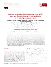 (Indels) of the ATBF1 Gene and Their Effects on Growth-Related Traits in Three Indigenous Goat Breeds