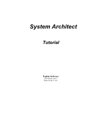System Architect