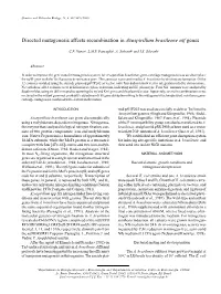 Directed Mutagenesis Affects Recombination in Azospirillum Brasilense Nif Genes