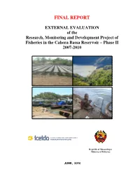 Final Report
