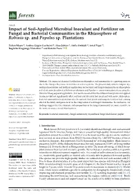 Impact of Soil-Applied Microbial Inoculant and Fertilizer on Fungal and Bacterial Communities in the Rhizosphere of Robinia Sp