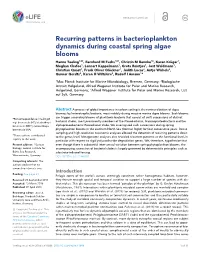 Recurring Patterns in Bacterioplankton Dynamics During Coastal Spring