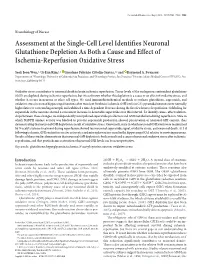 Assessment at the Single-Cell Level Identifies Neuronal Glutathione Depletion As Both a Cause and Effect of Ischemia-Reperfusion Oxidative Stress