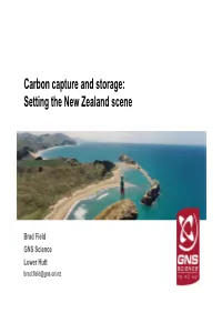 Carbon Capture and Storage: Setting the New Zealand Scene