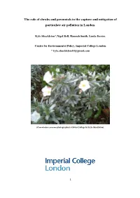 The Role of Shrubs and Perennials in the Capture and Mitigation of Particulate Air Pollution in London