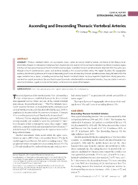 Ascending and Descending Thoracic Vertebral Arteries
