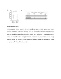 Supplemental Figure 1 Characterization of Lung Tumors In