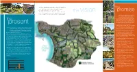 The Dandenong Creek Catchment Extends from the Dandenong
