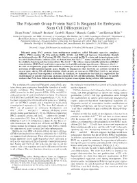 The Polycomb Group Protein Suz12 Is Required for Embryonic Stem Cell Differentiationᰔ† Diego Pasini,1 Adrian P