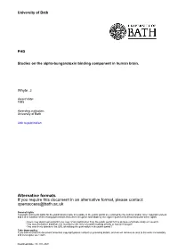 Thesis Rests with the Author