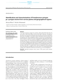 Identification and Characterization of Pseudomonas Syringae Pv