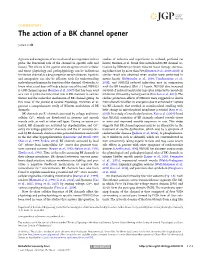 The Action of a BK Channel Opener