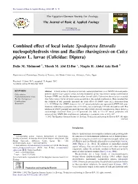 Combined Effect of Local Isolate Spodoptera Littoralis Nucleopolyhedrosis Virus and Bacillus Thuringiensis on Culex Pipiens L. L