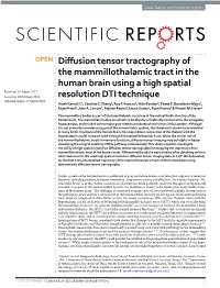 Diffusion Tensor Tractography of the Mammillothalamic Tract in The