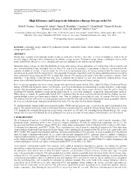 High Efficiency and Large-Scale Subsurface Energy Storage with CO2
