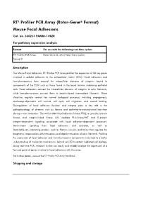 RT² Profiler PCR Array (Rotor-Gene® Format) Mouse Focal Adhesions