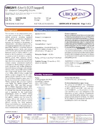 UBE2V1 (Uev1) [GST-Tagged] E2 - Ubiquitin Conjugating Enzyme