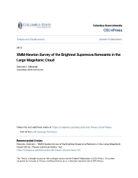 XMM-Newton Survey of the Brightest Supernova Remnants in the Large Magellanic Cloud