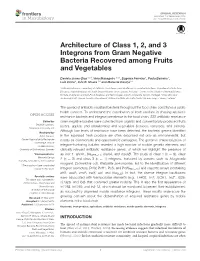 Architecture of Class 1, 2, and 3 Integrons from Gram Negative Bacteria Recovered Among Fruits and Vegetables