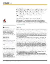 Evolutionary and Taxonomic Implications of Variation in Nuclear Genome Size: Lesson from the Grass Genus Anthoxanthum (Poaceae)