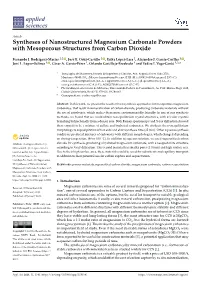 Syntheses of Nanostructured Magnesium Carbonate Powders with Mesoporous Structures from Carbon Dioxide